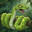 Hungry_python