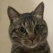 路易斯安娜飞机王阿锋