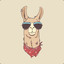 The llama guy