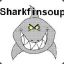 SharkfinSoup