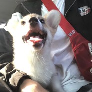 你也想起舞吗？