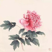 平安健康富贵幸福