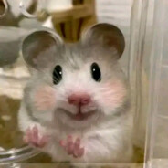 可是鼠鼠最可爱捏