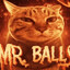 Mr. Balls