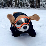 日落不是落日.(挨骂版)