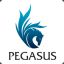 IDN..PEGASUS