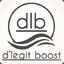 dlboost-10