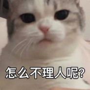 怎么不理人呢？