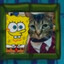 spongekitty