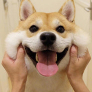 性格最烂不过身体最棒