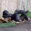 Chimp_Kicks