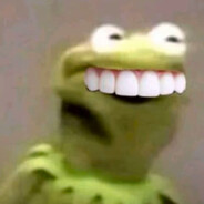 waxturtle avatar