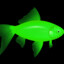 Green Fish