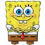 sponge