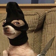 𝓃𝑜𝓈𝒾𝓀-47