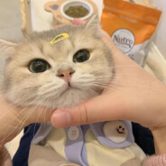 過去にサヨナラ