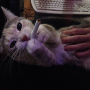 heybrotheryouclownс: