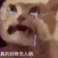 星空安