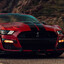 ⟫★⟪Shelby⟫★⟪