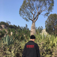 我或许是彭于晏丶