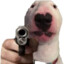 Guto