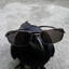 crowycorvid