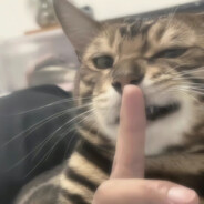 吃瘪的海绵宝宝