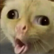 她说小学就喜欢被大调查