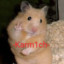-Karm1ch-