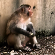 AAA光州第一舞王