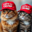 [MAGA] Cat_Patriot1776