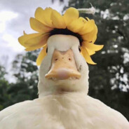 深夜抑郁普信男