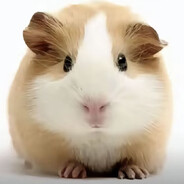 煮米且善良的潘浩