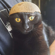 Kote s Kokos