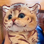 翻斗花园小闪电