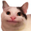 XemoN32