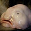 Avatar of äiti tapa minut