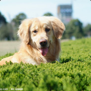 请开始你的枪法