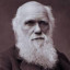 charlesdarwin