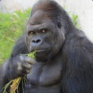 Big Avatar
