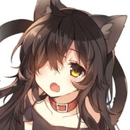 盯猫