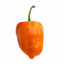 Habanero4brwnppl