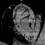 ᴮᴵᵃᶜᵏ†ᵀⁱᵐᵉ