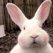 米兔