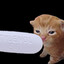 I Snort Tylenol
