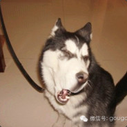 内向的人不外射