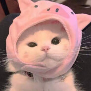 乐多爱吃可乐多