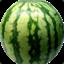 Melon