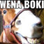 wena_boki