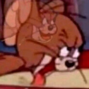 想舔爱莉希雅的白丝